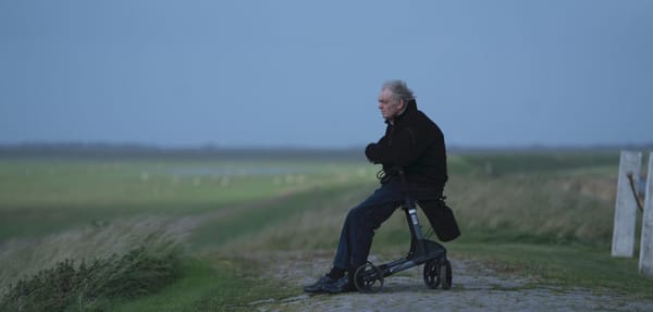 FESTIVALS: 'Uncle', 'Summer Knight' Triumph At Tokyo Film Festival